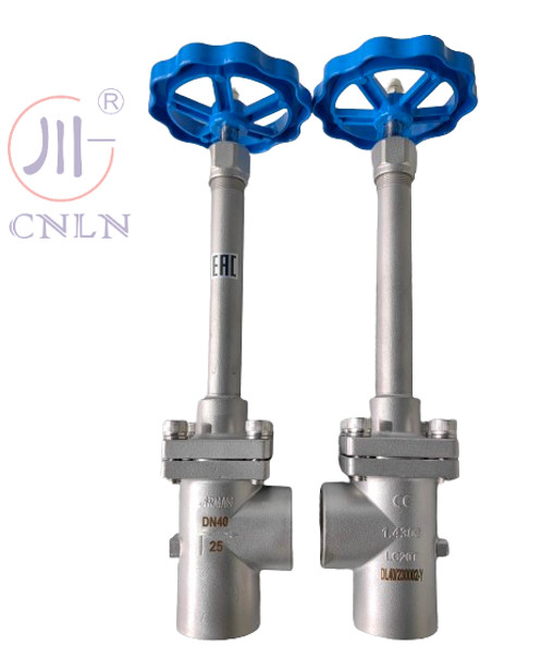 स्टेनलेस स्टील DN32 PN50 LNG/LOX/LN2/LAR के लिए क्रायोजेनिक ग्लोब वाल्व कोण प्रकार