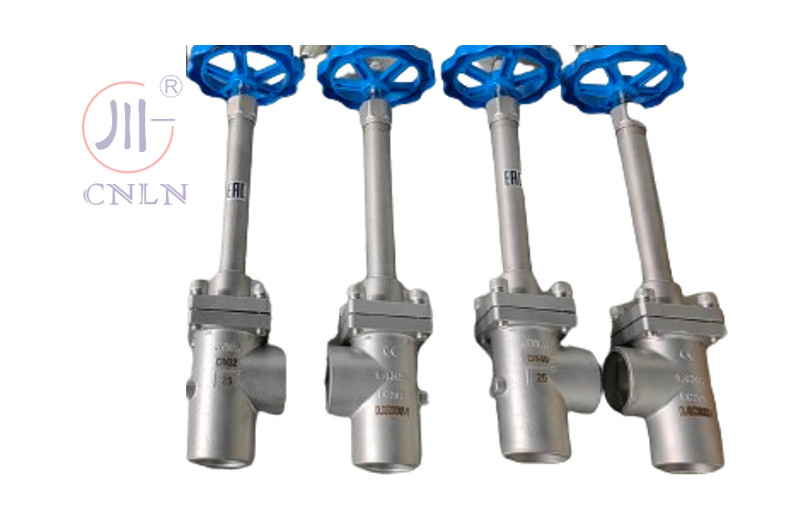 स्टेनलेस स्टील DN32 PN50 LNG/LOX/LN2/LAR के लिए क्रायोजेनिक ग्लोब वाल्व कोण प्रकार