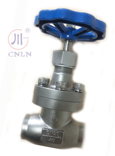 CNLN/Arman DJ61F-40P SS304/316 LNG/LOX/LN2 सिस्टम के लिए क्रायोजेनिक ग्लोब वाल्व शॉर्ट-स्टेम-टाइप A ((DN10-100mm) CE/ISO/EAC प्रमाणित