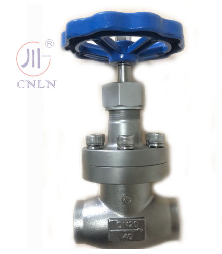 CNLN/Arman DJ61F-40P SS304/316 LNG/LOX/LN2 सिस्टम के लिए क्रायोजेनिक ग्लोब वाल्व शॉर्ट-स्टेम-टाइप A ((DN10-100mm) CE/ISO/EAC प्रमाणित