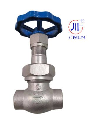 CNLN/Arman DJ61F-40P SS304/316 LNG/LOX/LN2 सिस्टम के लिए क्रायोजेनिक ग्लोब वाल्व शॉर्ट-स्टेम-टाइप C ((DN10-50mm) CE/ISO/EAC प्रमाणित