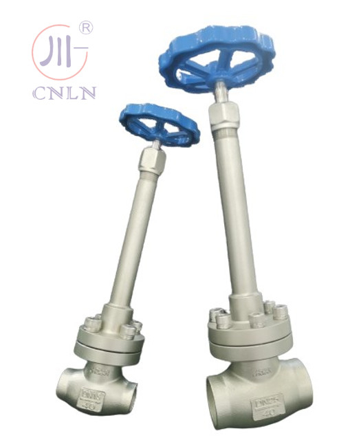 CF3/CF8 स्टेनलेस स्टील क्रायोजेनिक ग्लोब वाल्व DN25/DN15 LNG/LOX/LN2/LAR/LCO2 के लिए