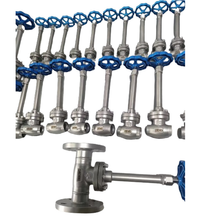DN10-100 PN50 सॉकेट वेल्डिंग क्रायोजेनिक ग्लोब वाल्व -196- 80 °C LNG LOX LIN LAR LCO2 के लिए