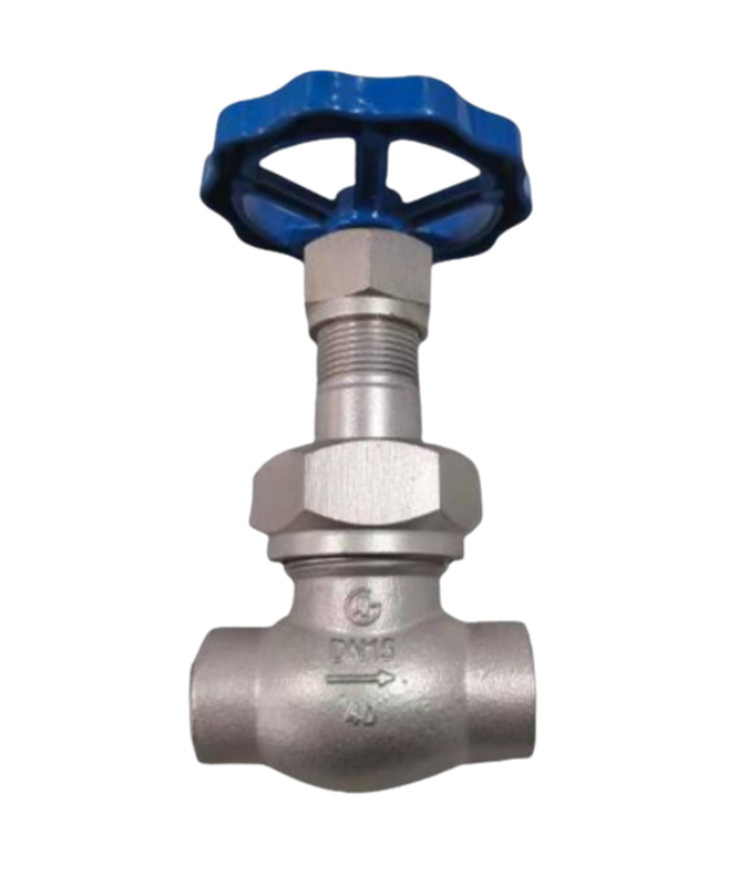LN2 DN25 LNG/LOX/LN2/LAR/LCO2 के लिए क्रियोजेनिक सॉकेट वेल्ड ग्लोब वाल्व DJ61F-40P