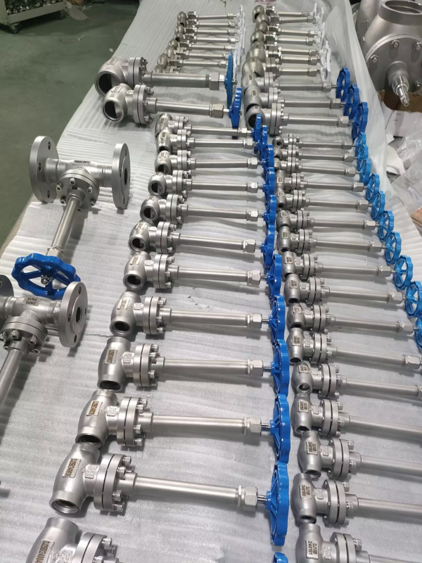 SS304 क्रायोजेनिक ग्लोब वाल्व DN10-DN100 -196°C से +80°C LOX LIN LNG LAR