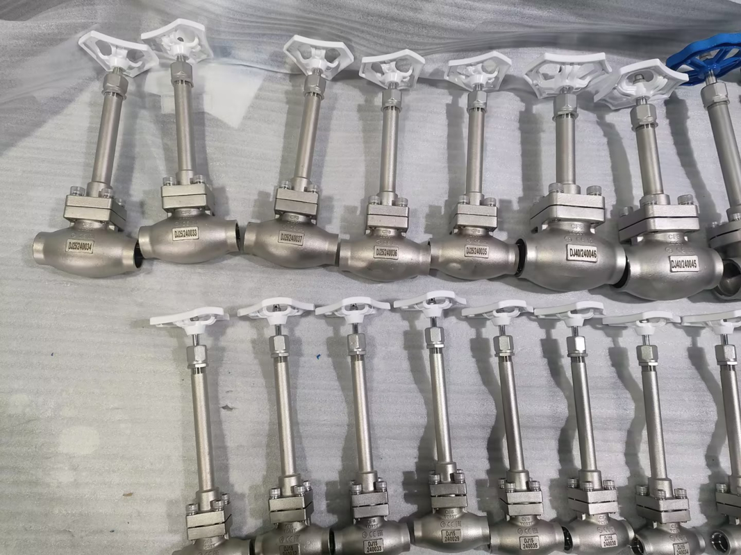 DN25 क्रायोजेनिक ग्लोब वाल्व स्टेनलेस स्टील 304/316 पीटीएफई सील और CF8/CF3 वाल्व शरीर के साथ -196°C से +80°C के लिए अनुप्रयोगों के लिए