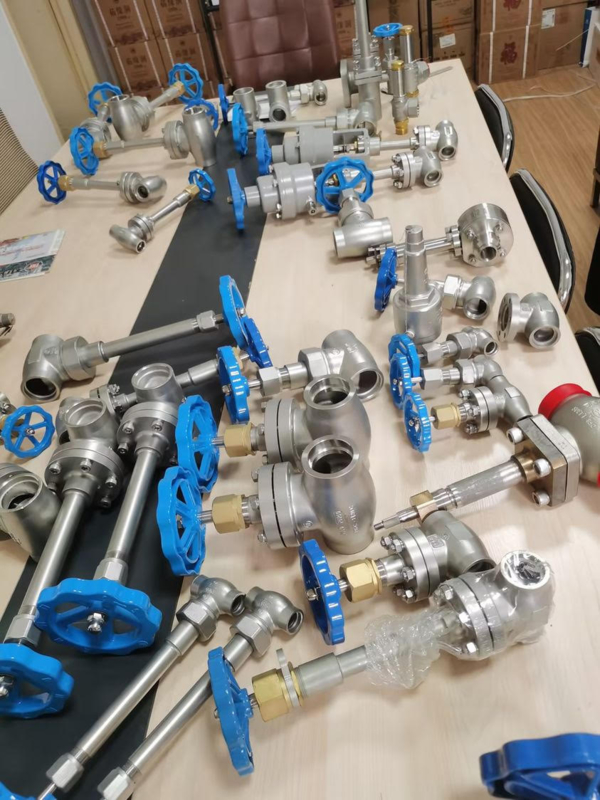 Stainless Steel Cryogenic Globe Valve with 5.0Mpa Maximum Pressure and -196 to +80°C Temperature Range for LNG/LOX/LIN Applications