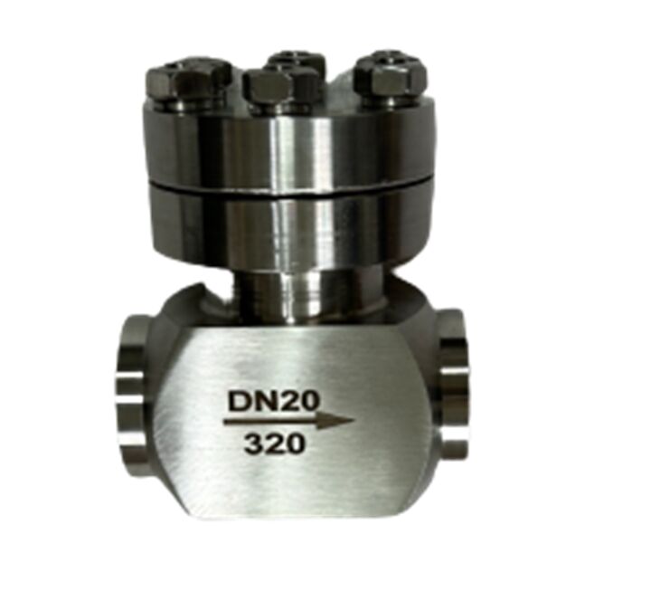 तापमान रेंज -196 से +80°C के लिए 320 एमपीए अधिकतम दबाव स्टेनलेस स्टील 304/316 के साथ क्रायोजेनिक चेक वाल्व